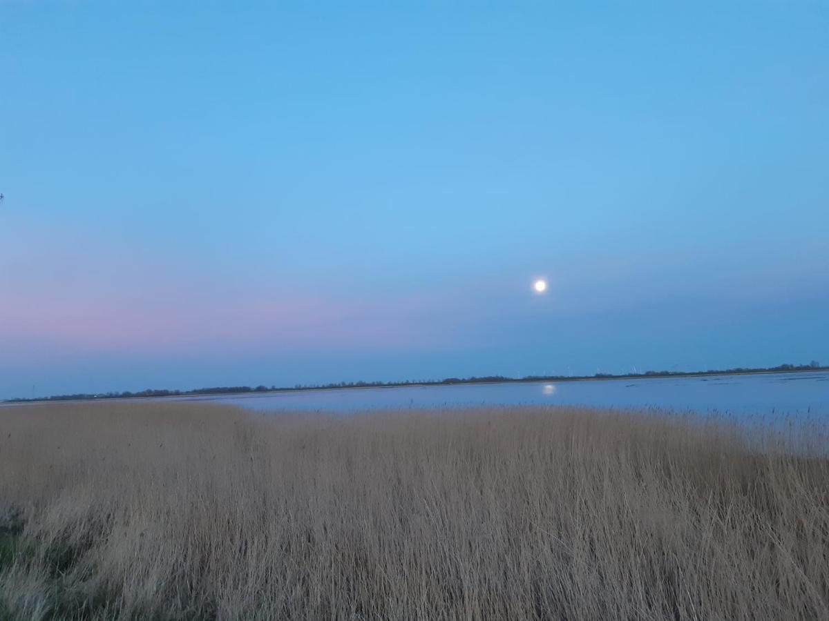 Nordlichthuus Villa Tönning Buitenkant foto